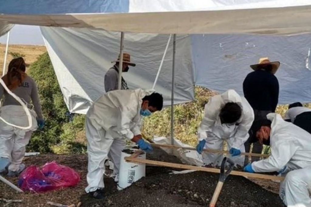 Concluyen búsqueda en Morelos; hallan 11 cuerpos en fosas