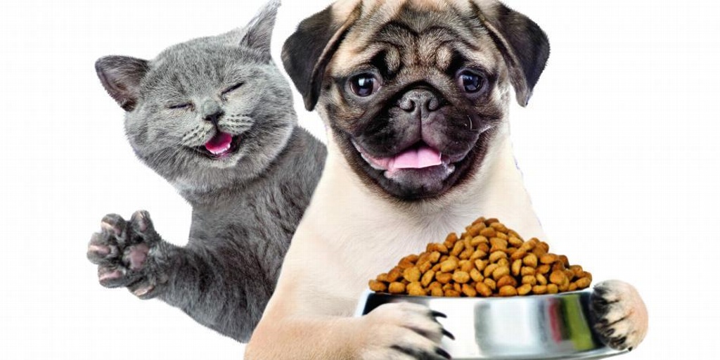 Aumenta el precio de la comida para mascotas por inflación 