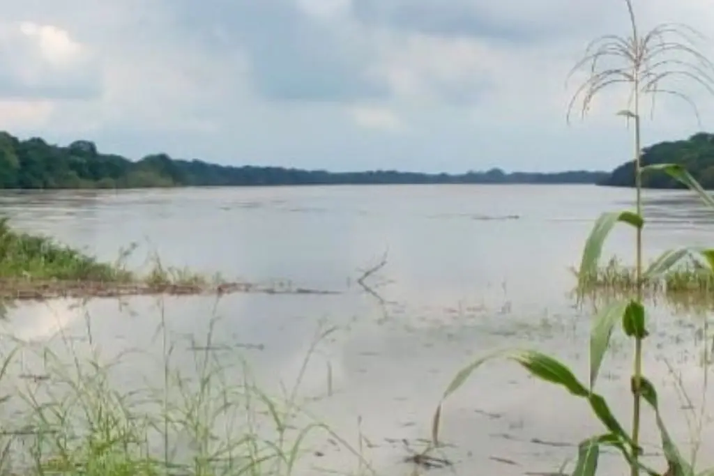 Imagen relacionada a la nota