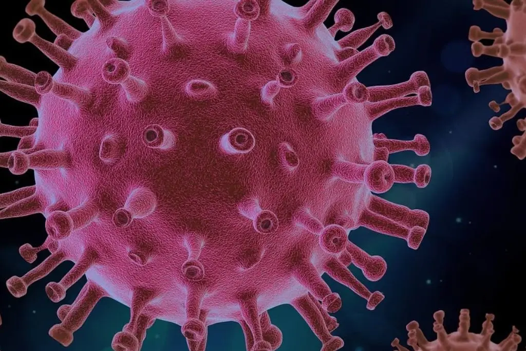 Imagen relacionada a la nota