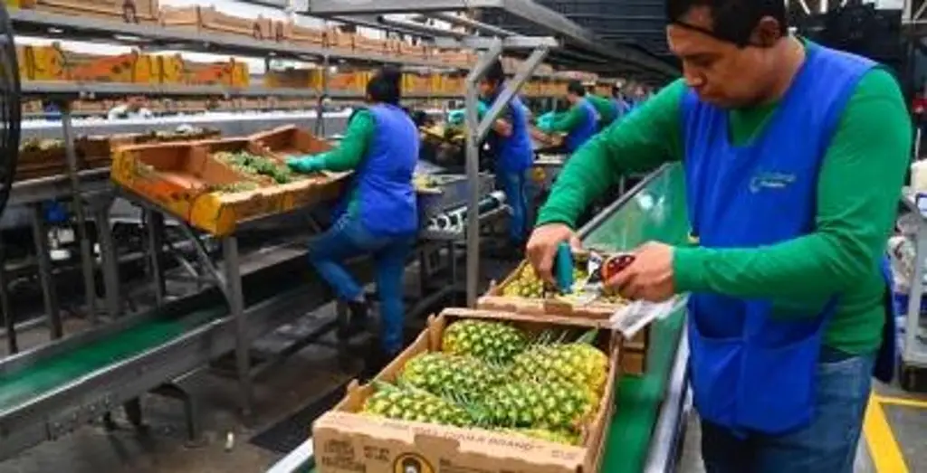 Imagen relacionada a la nota
