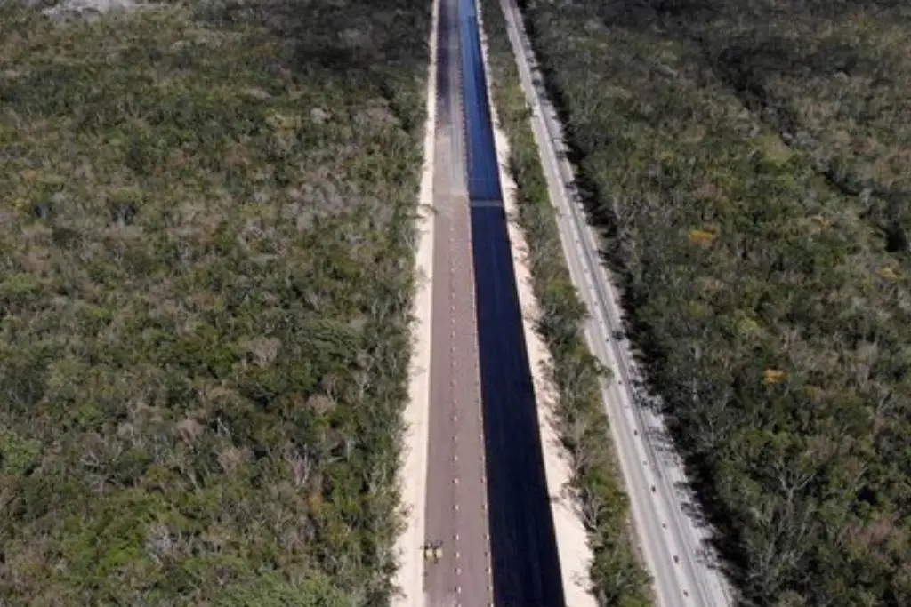 Ordena Tribunal Federal suspender obras del Tramo 5 del Tren Maya ...