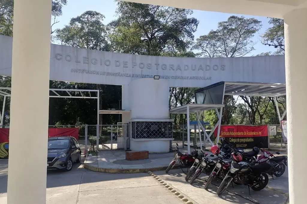 Imagen relacionada a la nota