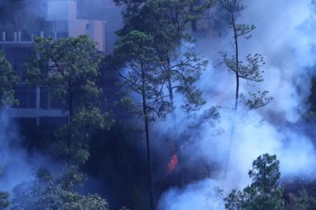 Incendios Forestales Han Afectado 18 Estados Más De 3 Mil Hectáreas Han Resultado Dañadas 1110