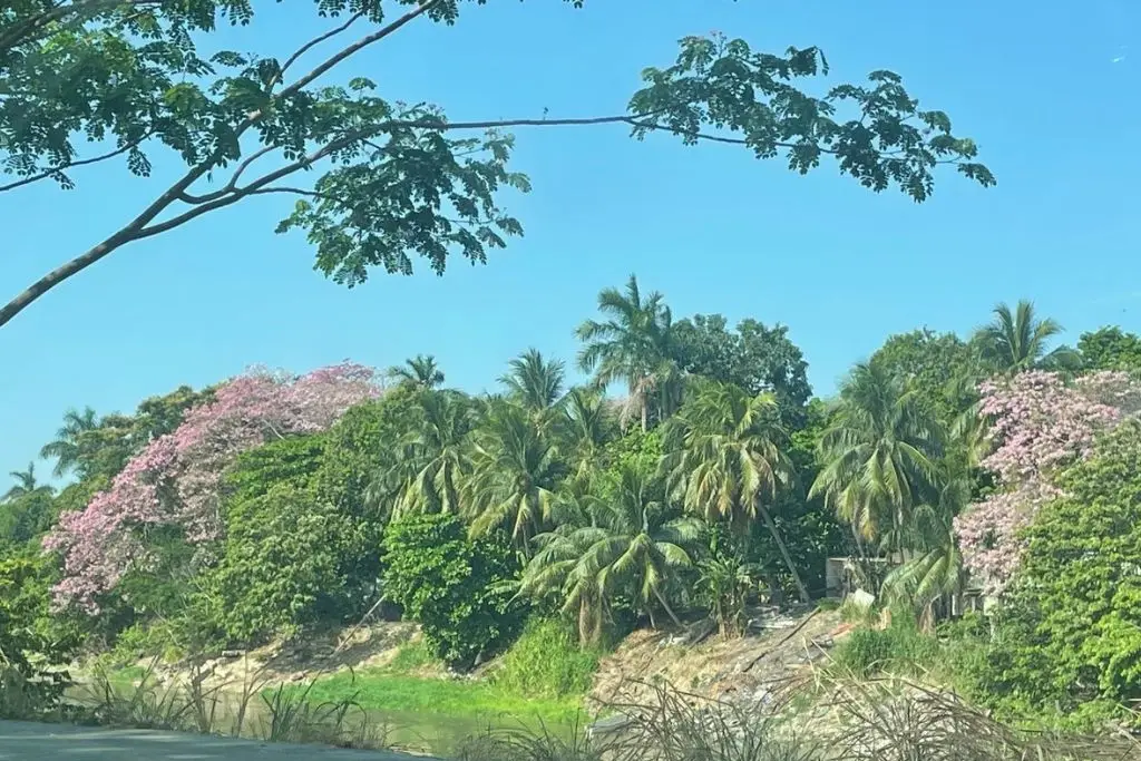 Imagen relacionada a la nota