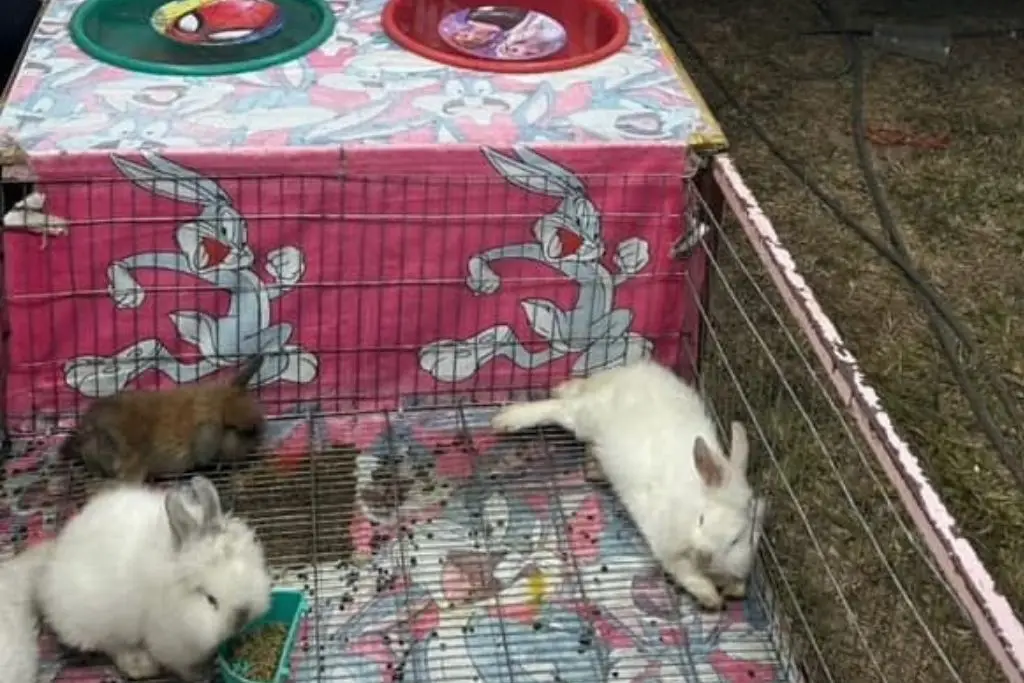 Imagen relacionada a la nota