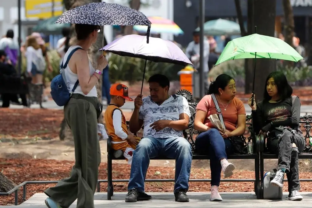 Imagen relacionada a la nota
