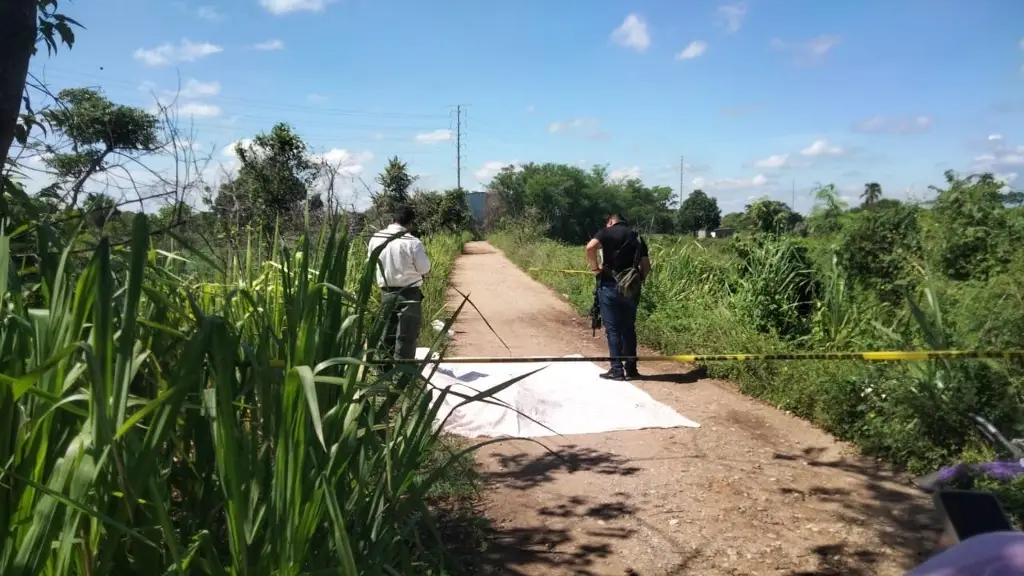 Imagen relacionada a la nota