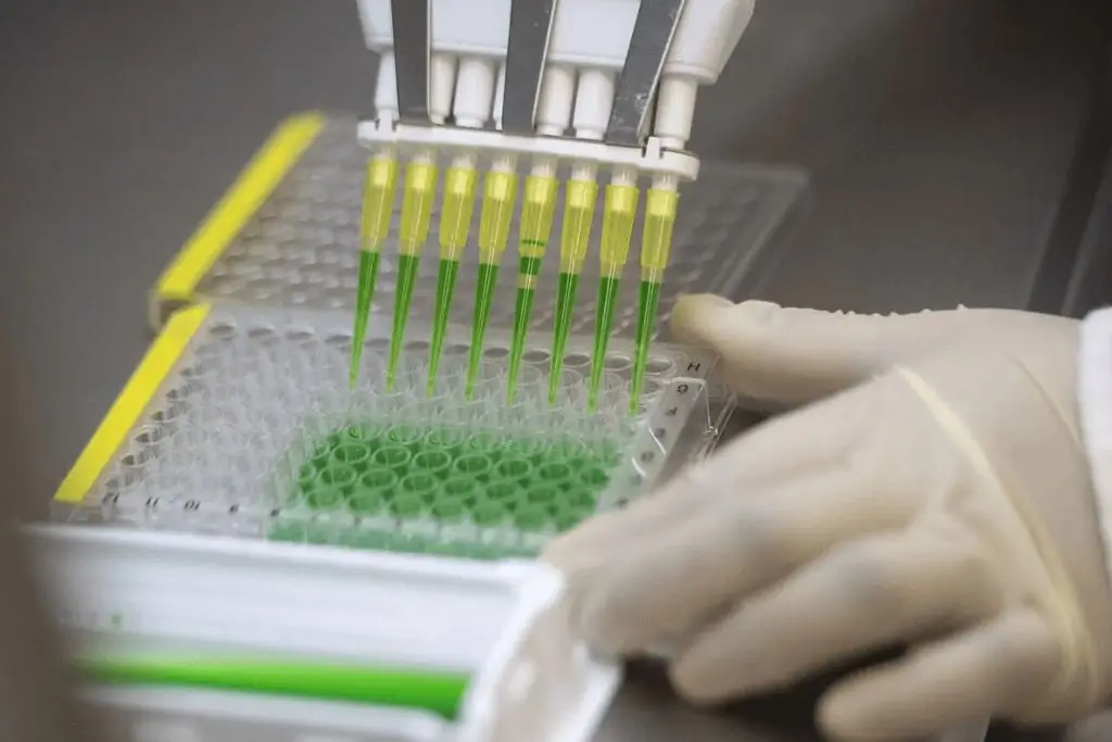 Imagen relacionada a la nota