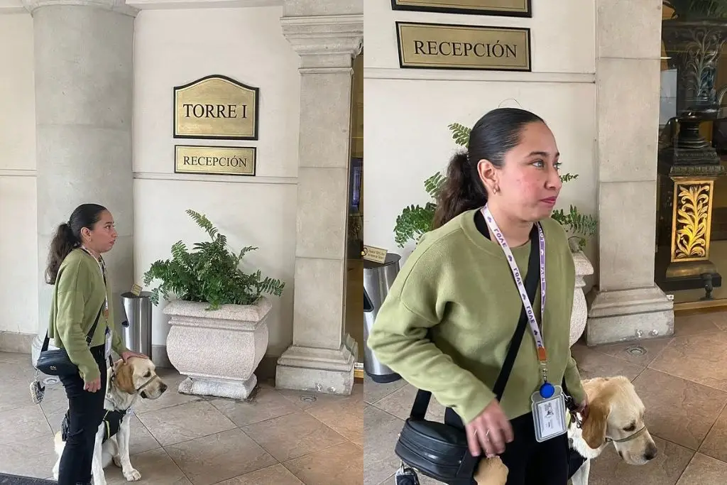 Invidente denuncia discriminación en Hotel Safi de Monterrey; le negaron el  acceso a su perro guía - xeva Noticias