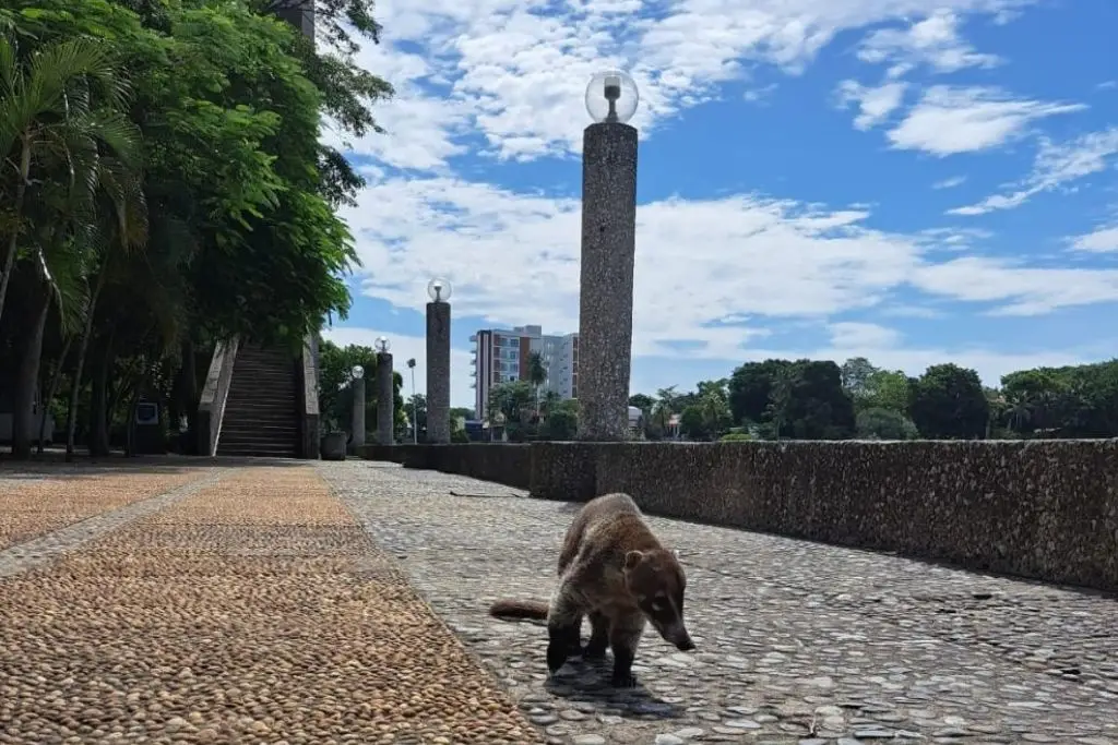 Imagen relacionada a la nota