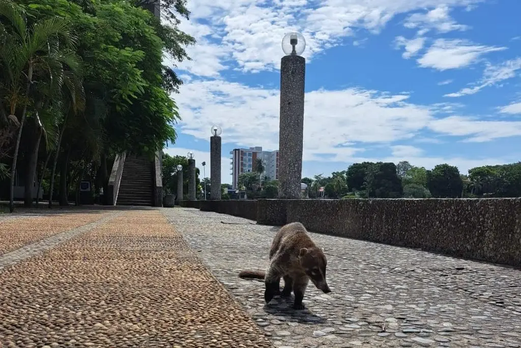 Imagen relacionada a la nota