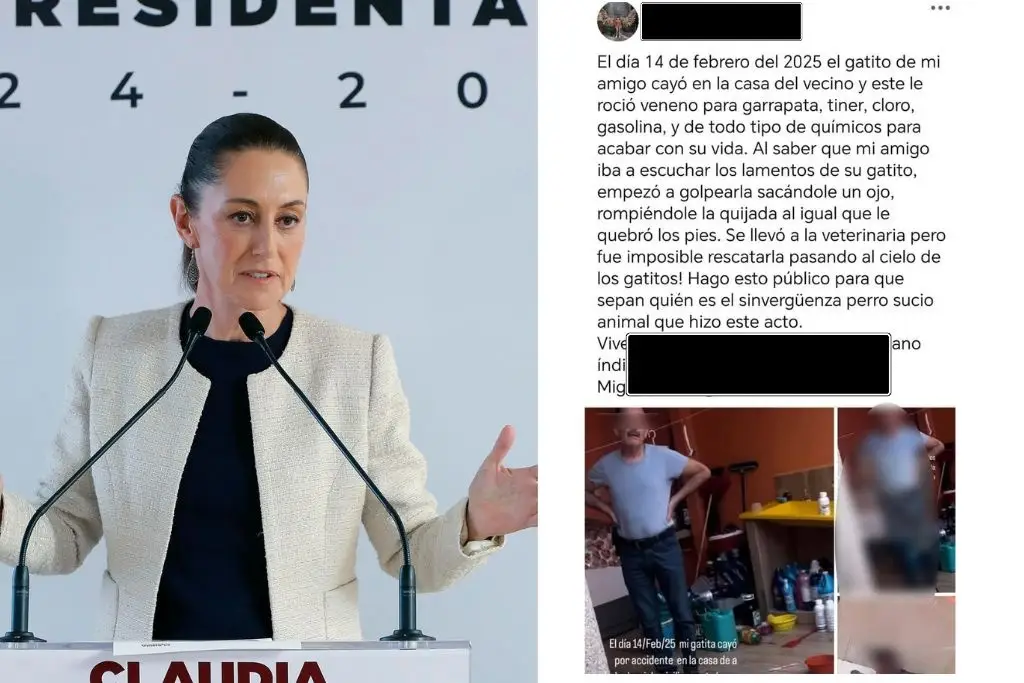 Imagen relacionada a la nota