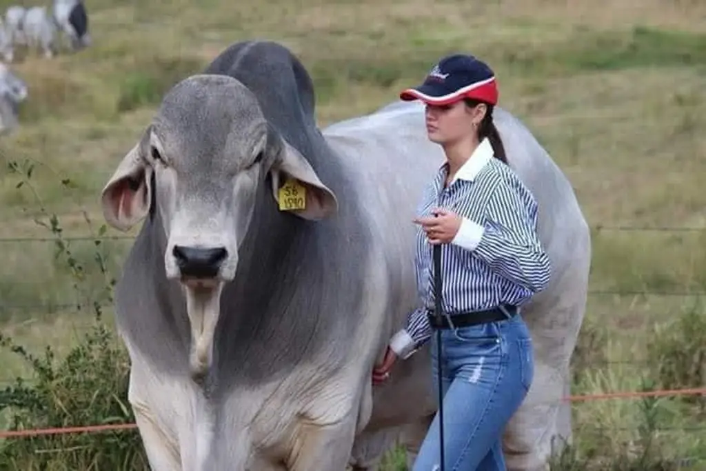 Imagen relacionada a la nota