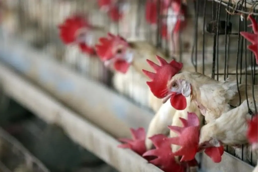 Imagen relacionada a la nota