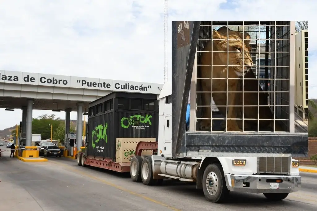 Imagen relacionada a la nota