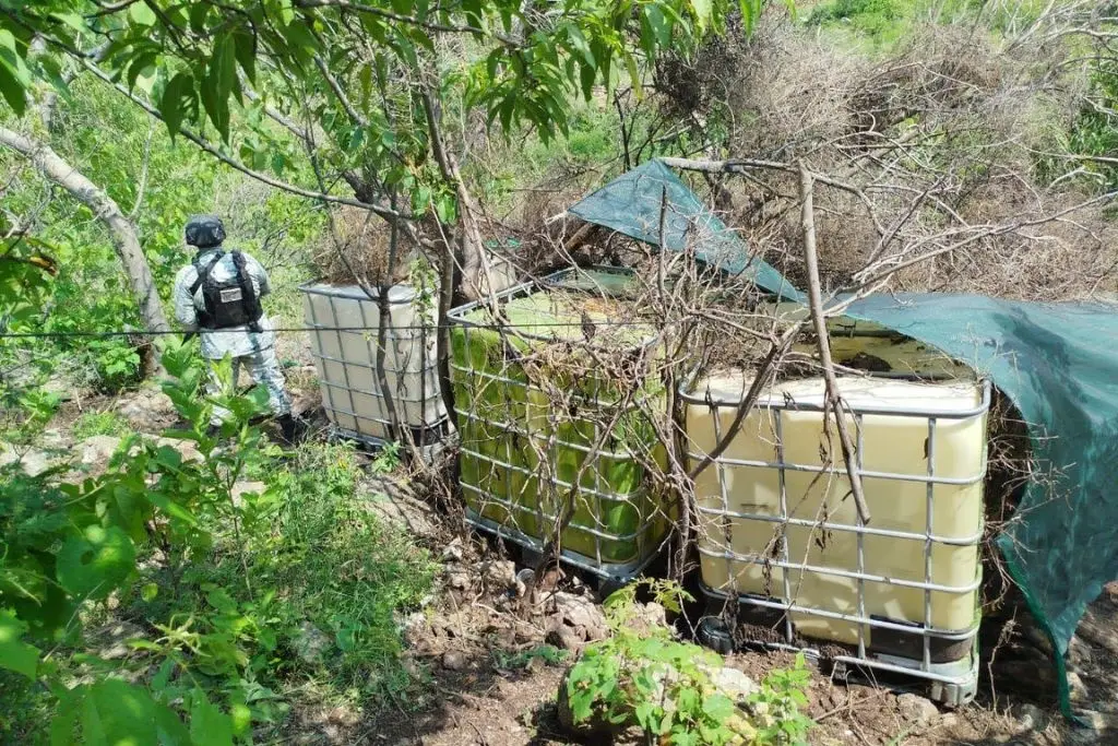 Imagen relacionada a la nota