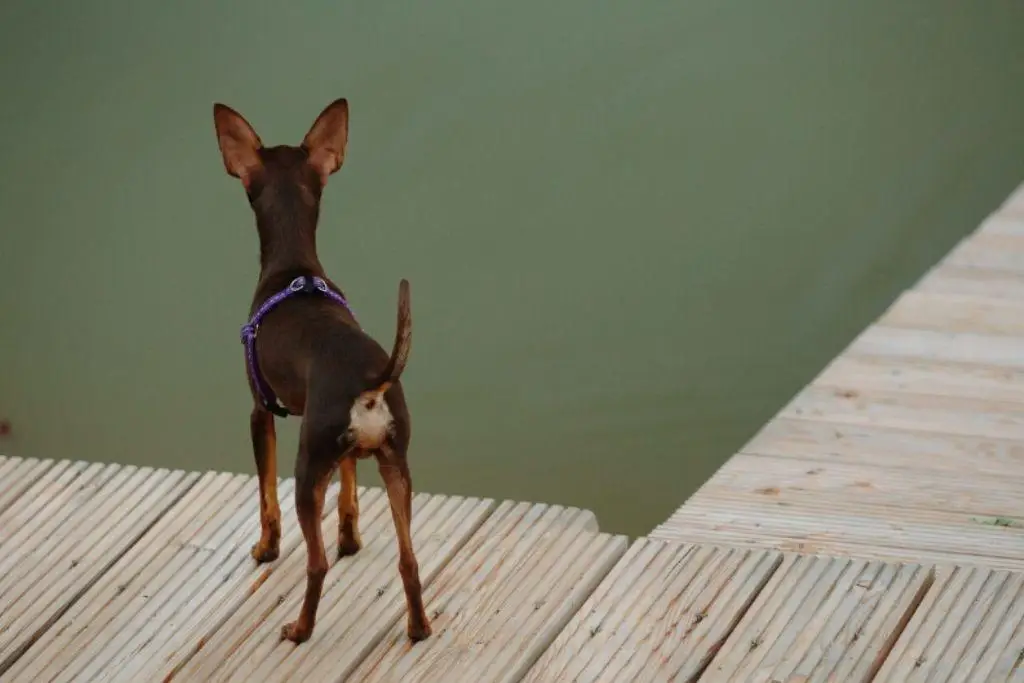 Imagen relacionada a la nota