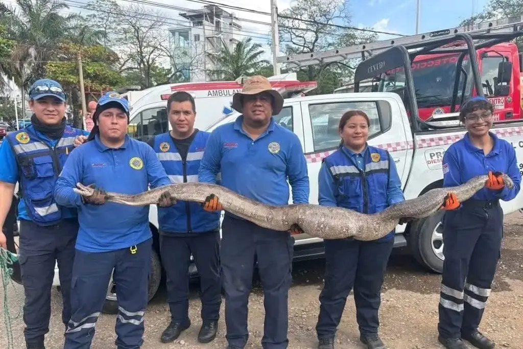 Imagen relacionada a la nota
