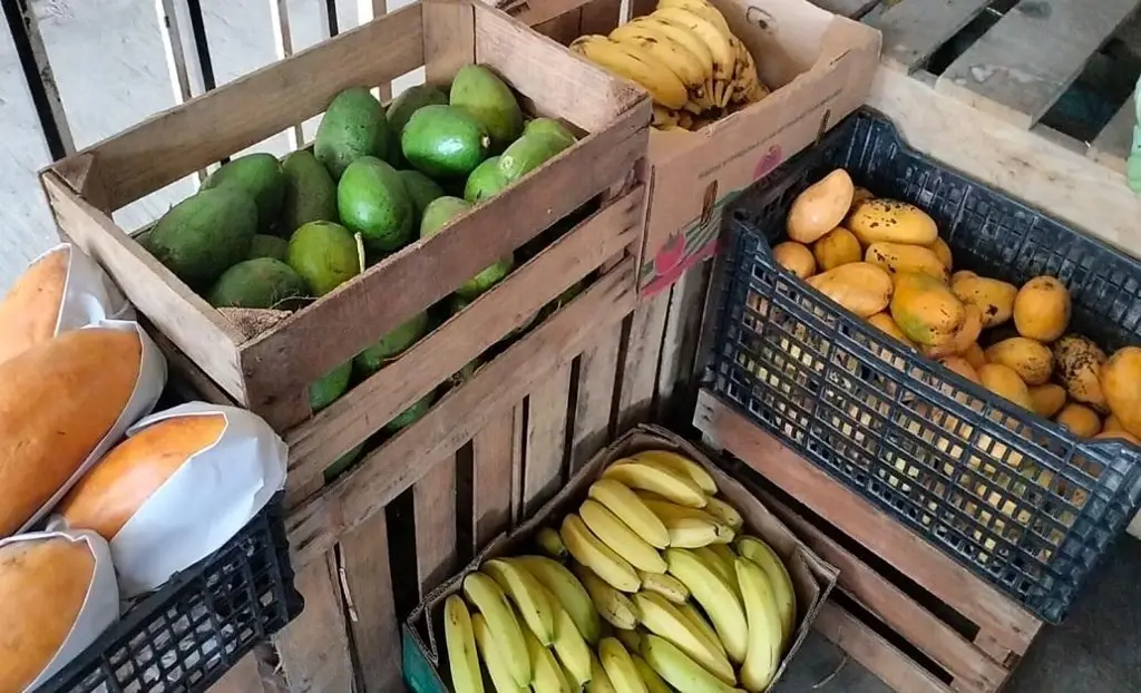 Imagen relacionada a la nota
