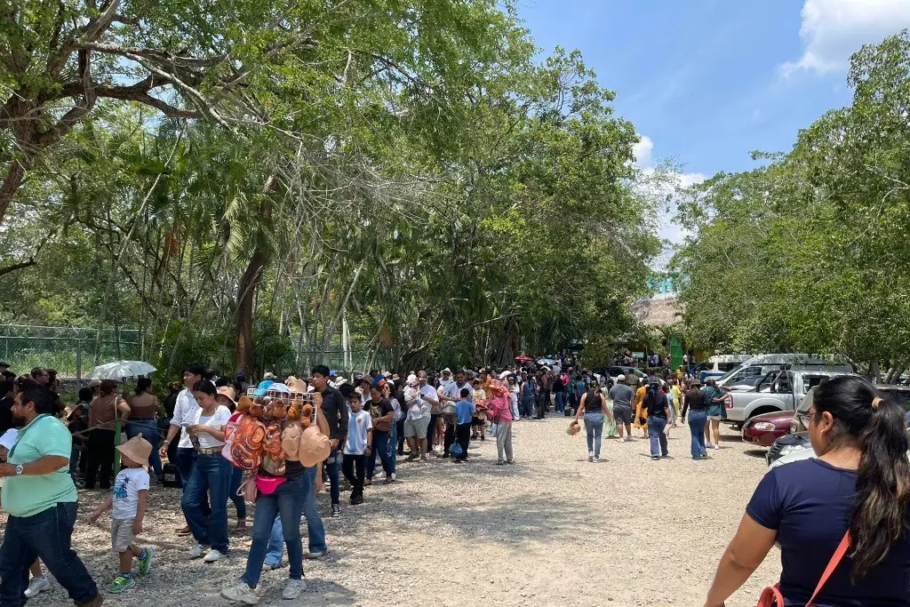 Imagen relacionada a la nota