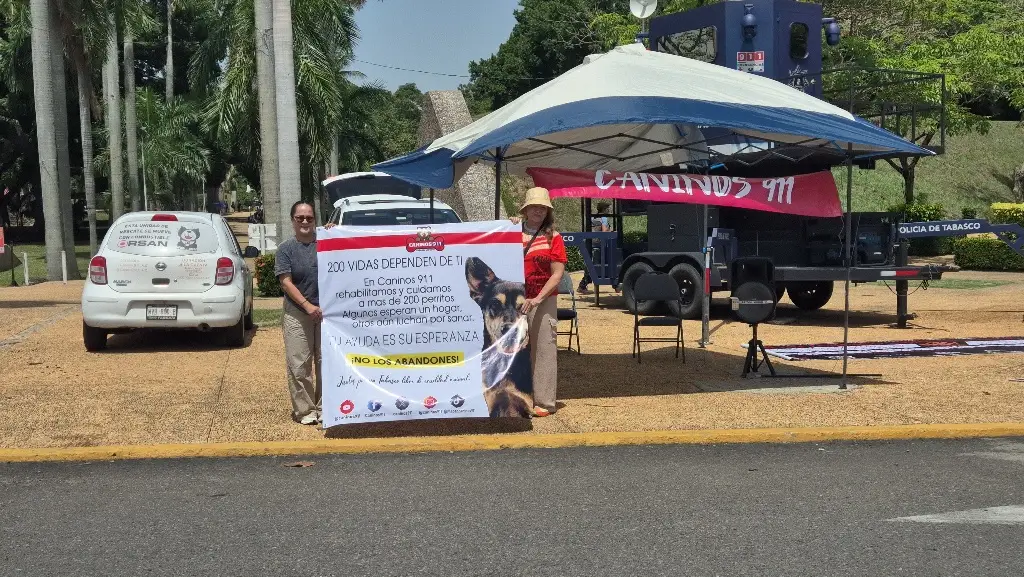 Imagen relacionada a la nota