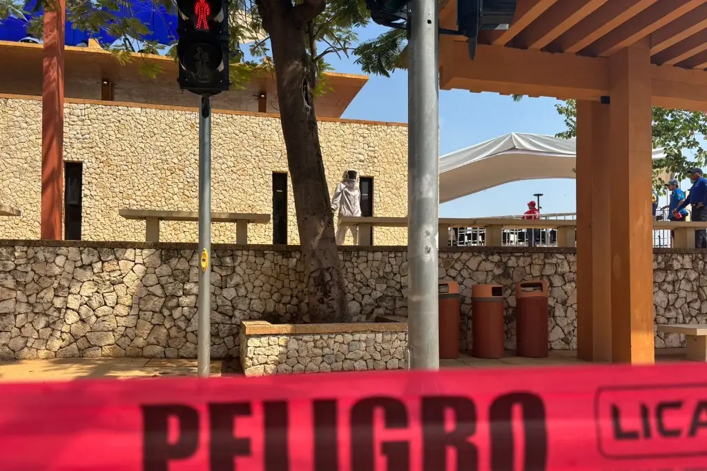 Imagen relacionada a la nota