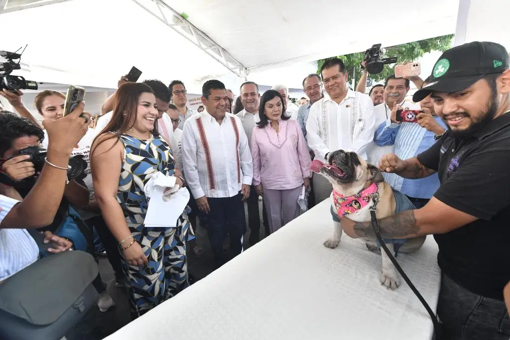 Imagen relacionada a la nota