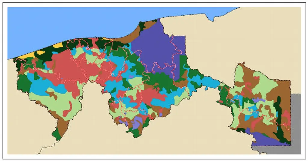 Imagen relacionada a la nota