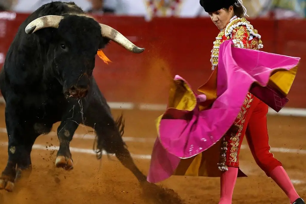Imagen relacionada a la nota