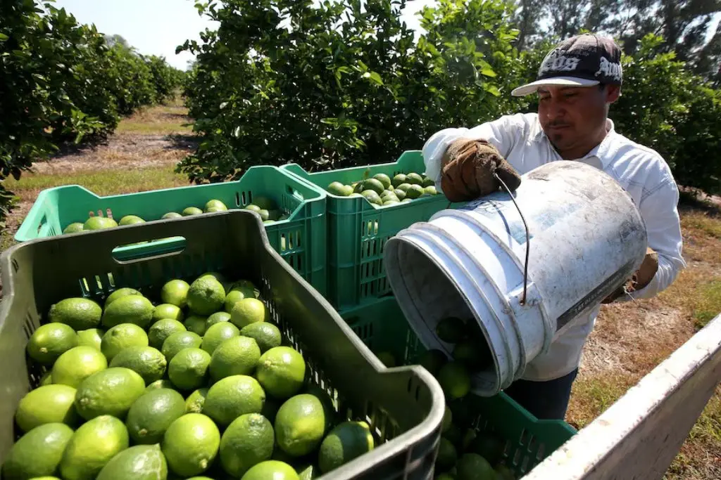 Imagen relacionada a la nota