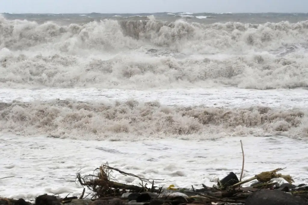 Imagen relacionada a la nota
