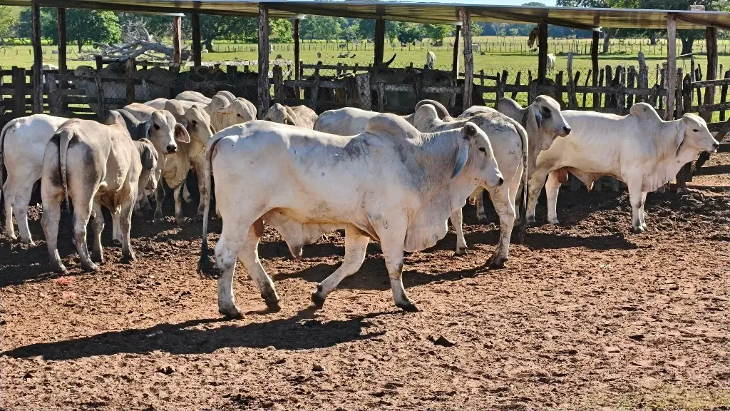 Imagen relacionada a la nota