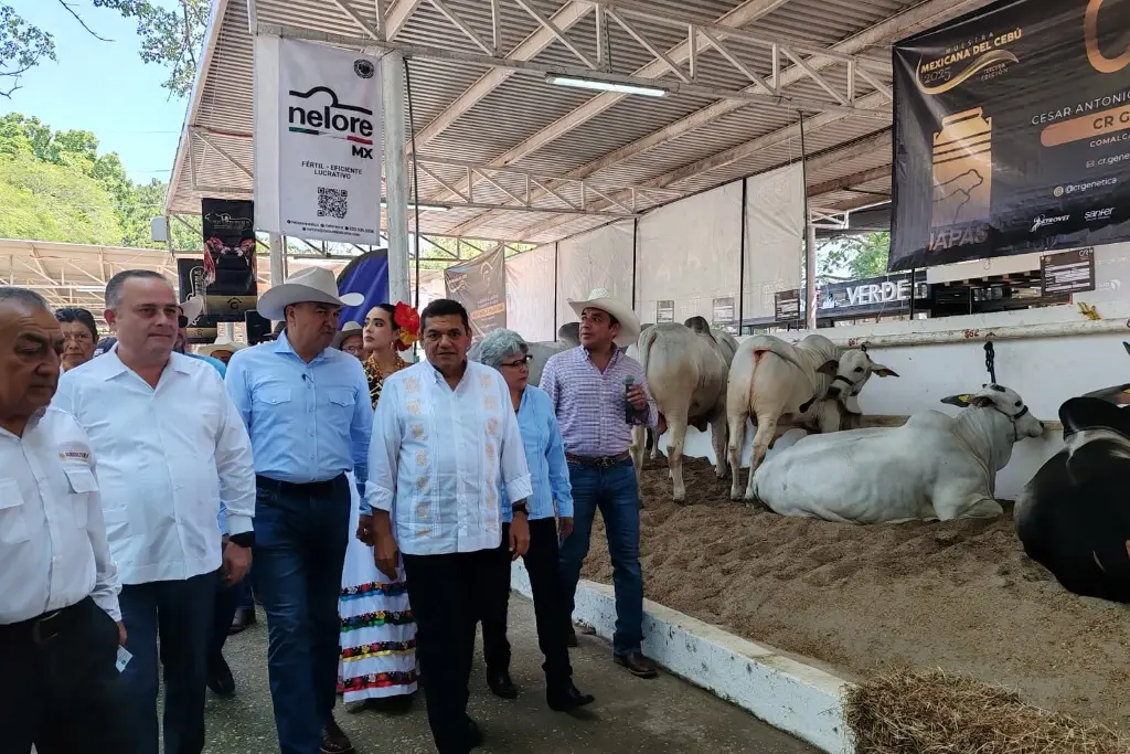 Imagen relacionada a la nota