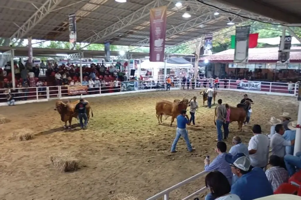 Imagen relacionada a la nota