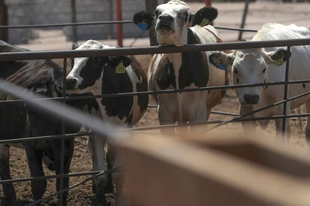 Imagen relacionada a la nota