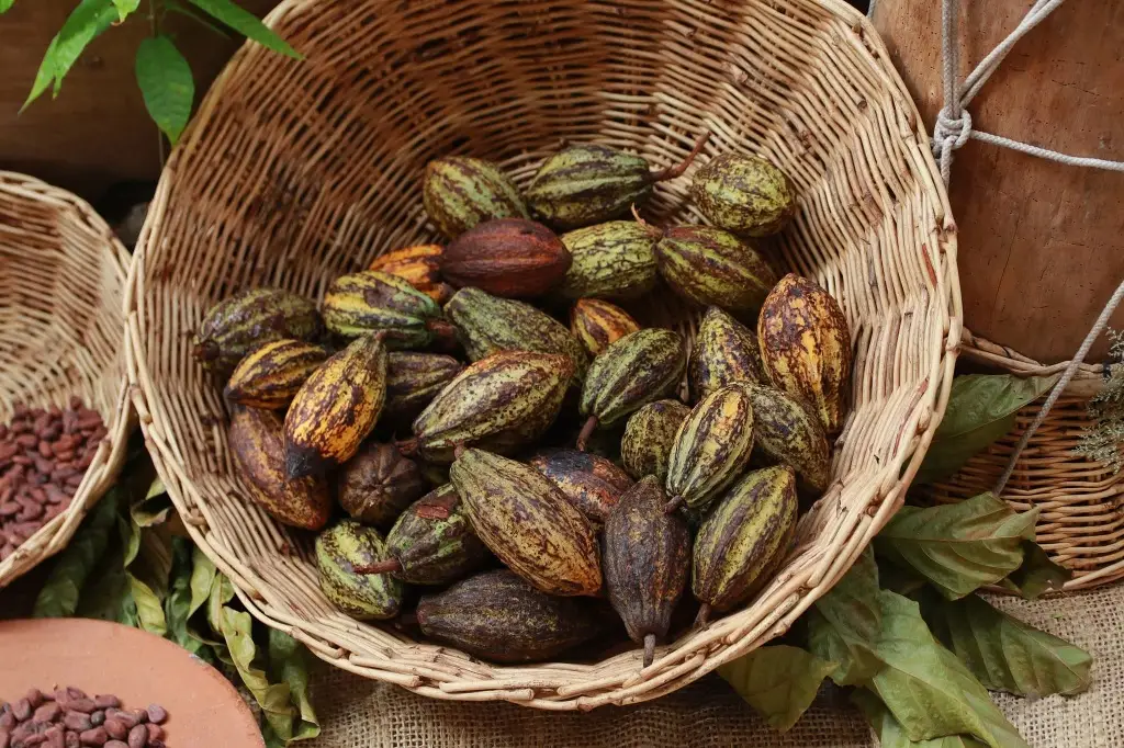 Imagen relacionada a la nota