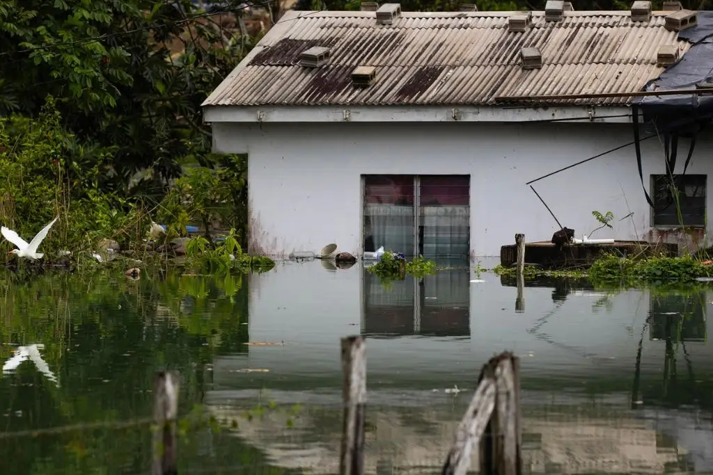 Imagen relacionada a la nota