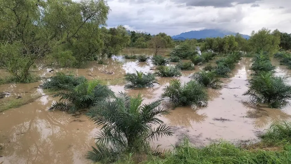 Imagen relacionada a la nota