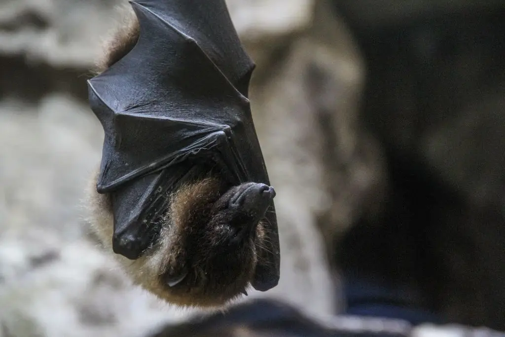 Imagen relacionada a la nota