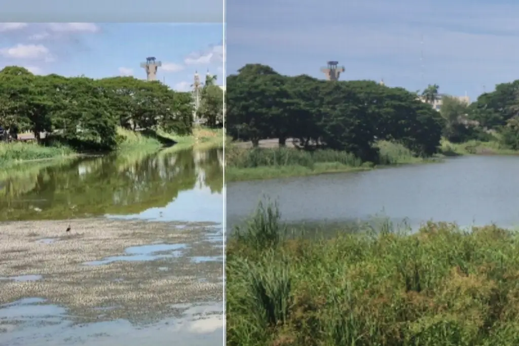 Imagen relacionada a la nota