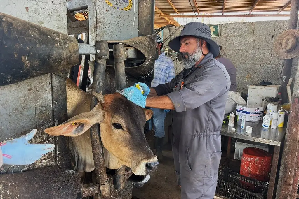 Imagen relacionada a la nota