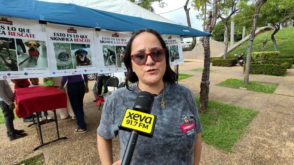 Imagen relacionada a la nota