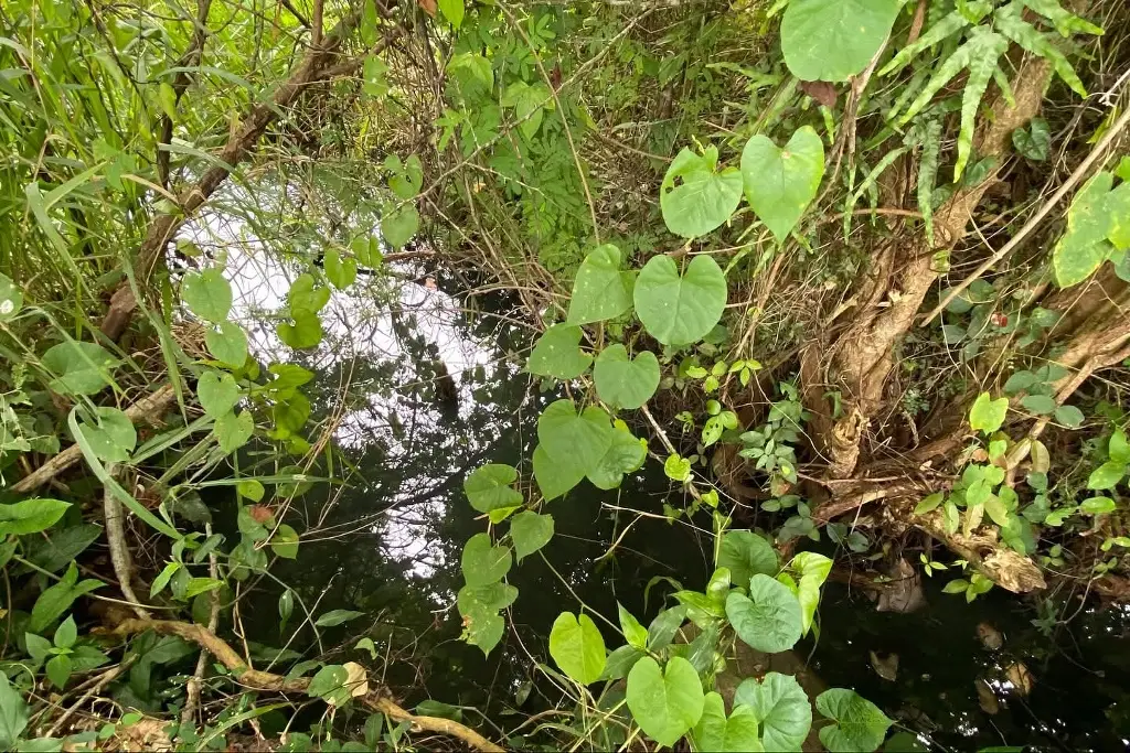 Imagen relacionada a la nota