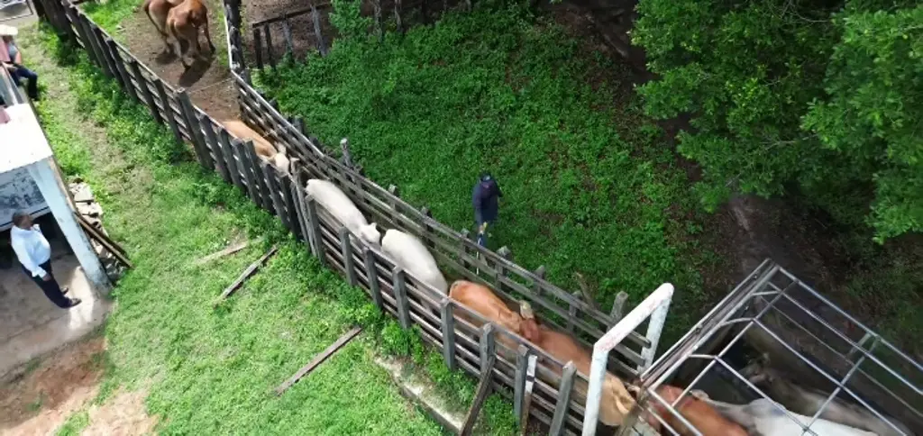 Imagen relacionada a la nota