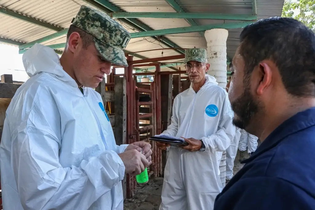 Imagen relacionada a la nota