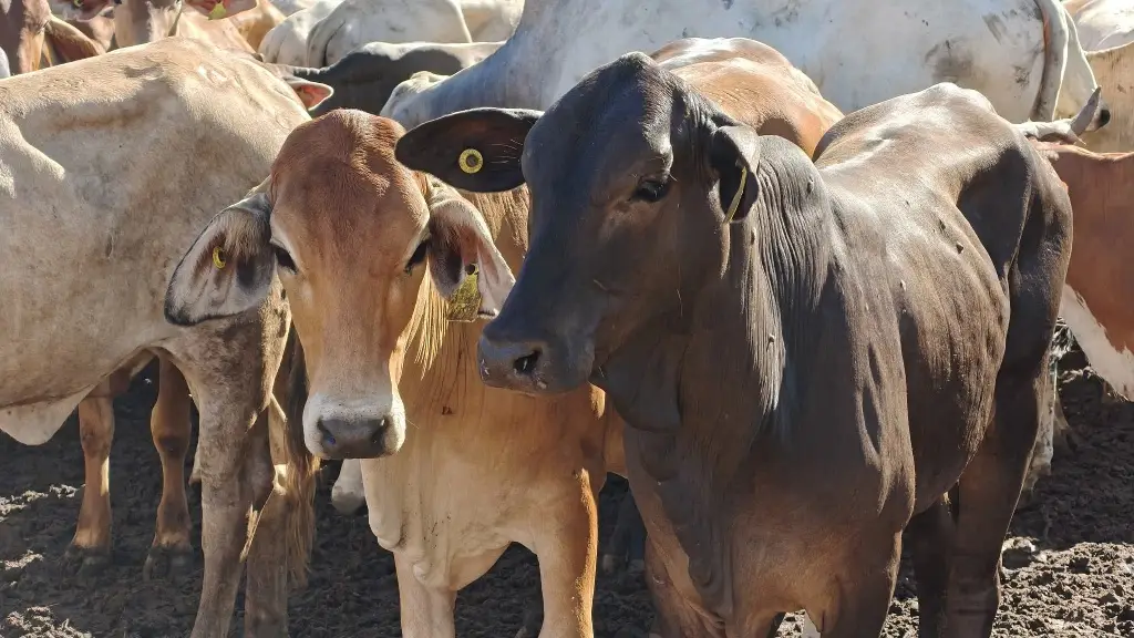 Imagen relacionada a la nota