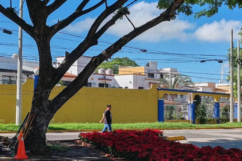 Imagen relacionada a la nota