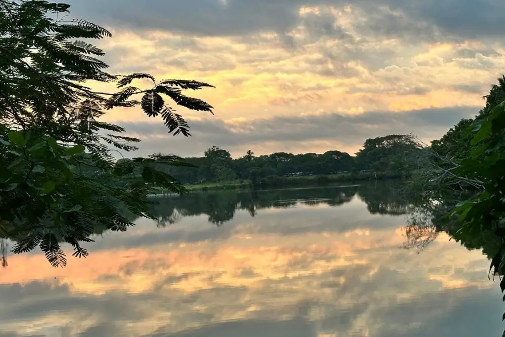 Imagen relacionada a la nota