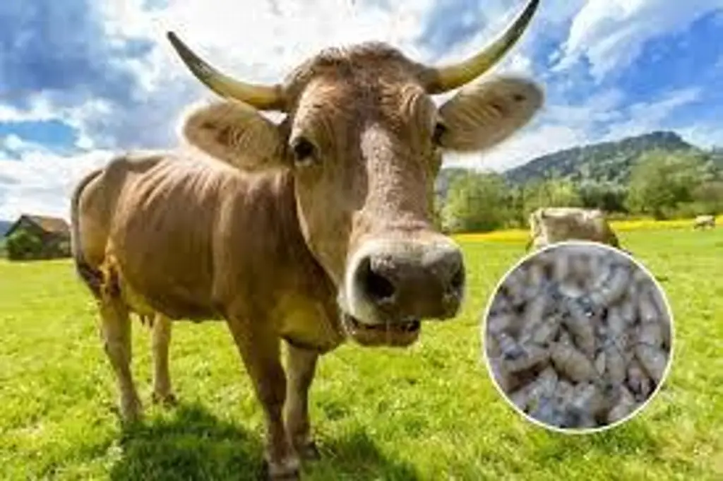 Imagen relacionada a la nota